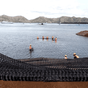 OEM ODM Polyester Biaxial Geogrid 100KN