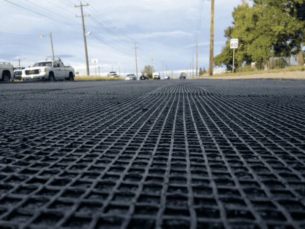 geogrid mesh